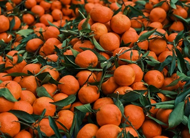 Fresh baby mandarins and Wagan mandarins