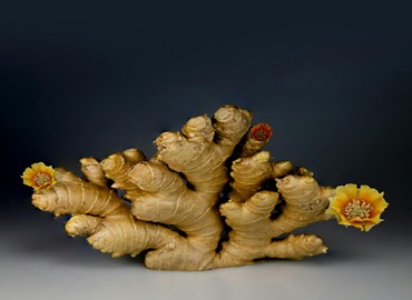 Fresh ginger imported into Bangladesh