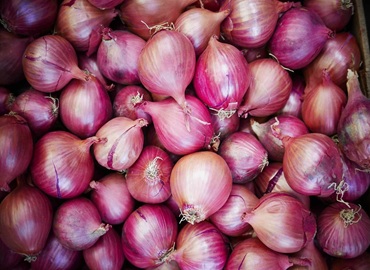 Fresh onions imported and exported in Bangladesh