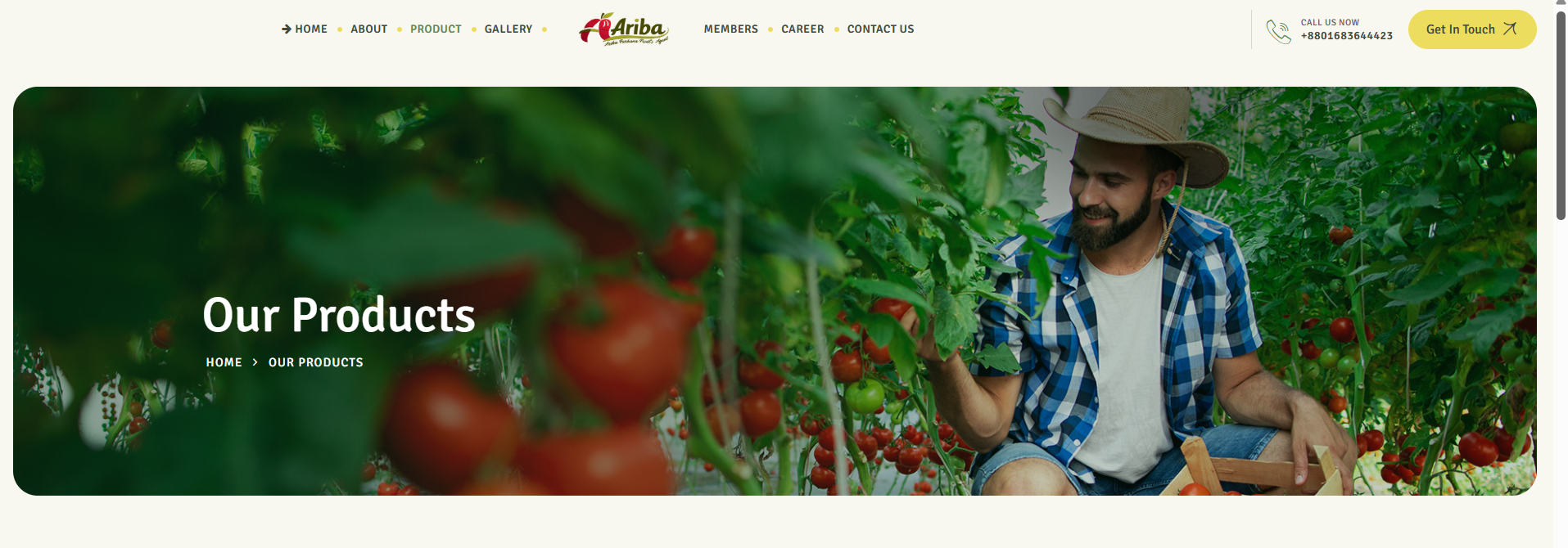 Company Website