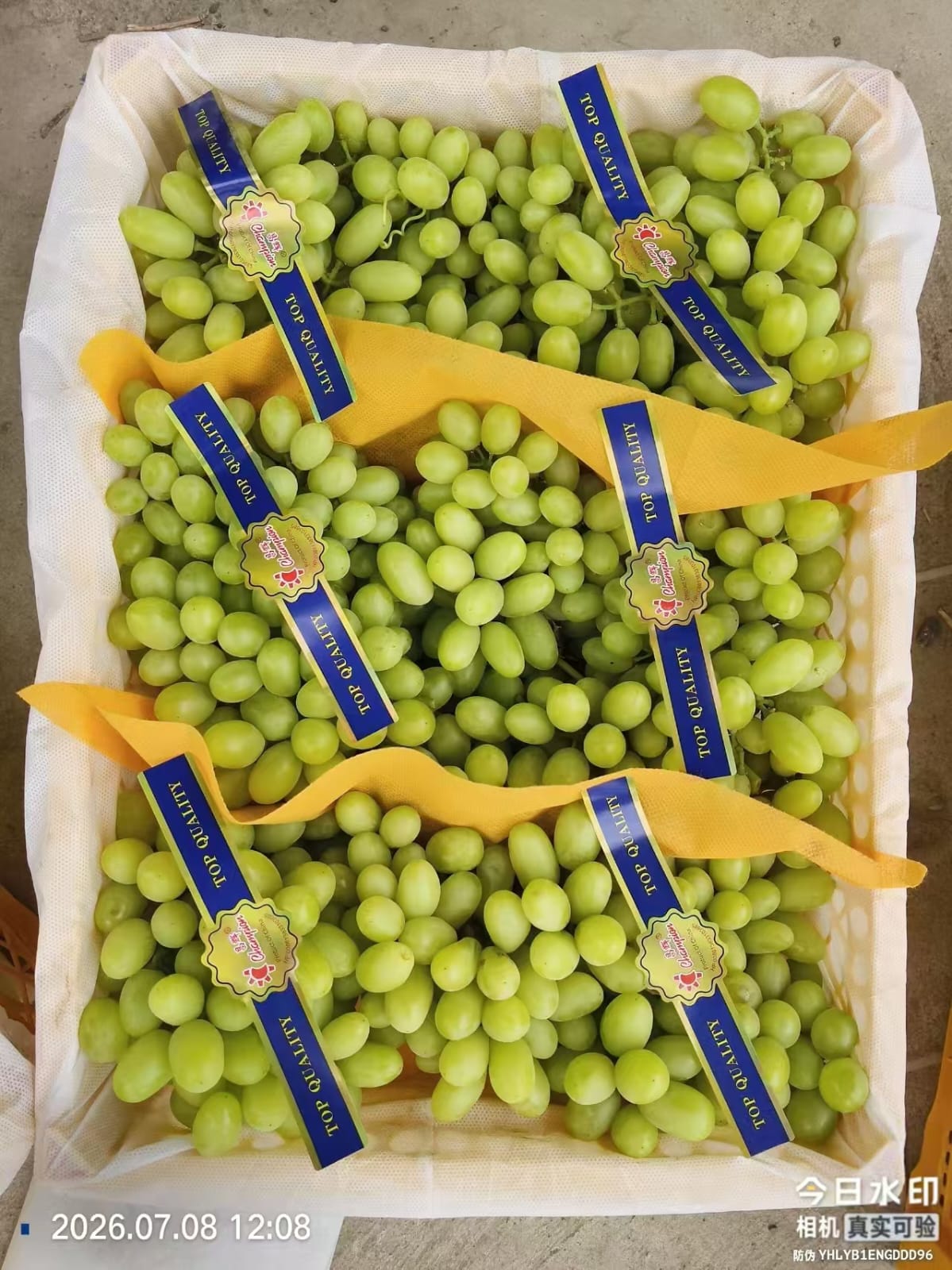 Grapes White 3