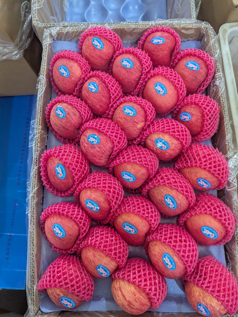 Fuji Apple 2