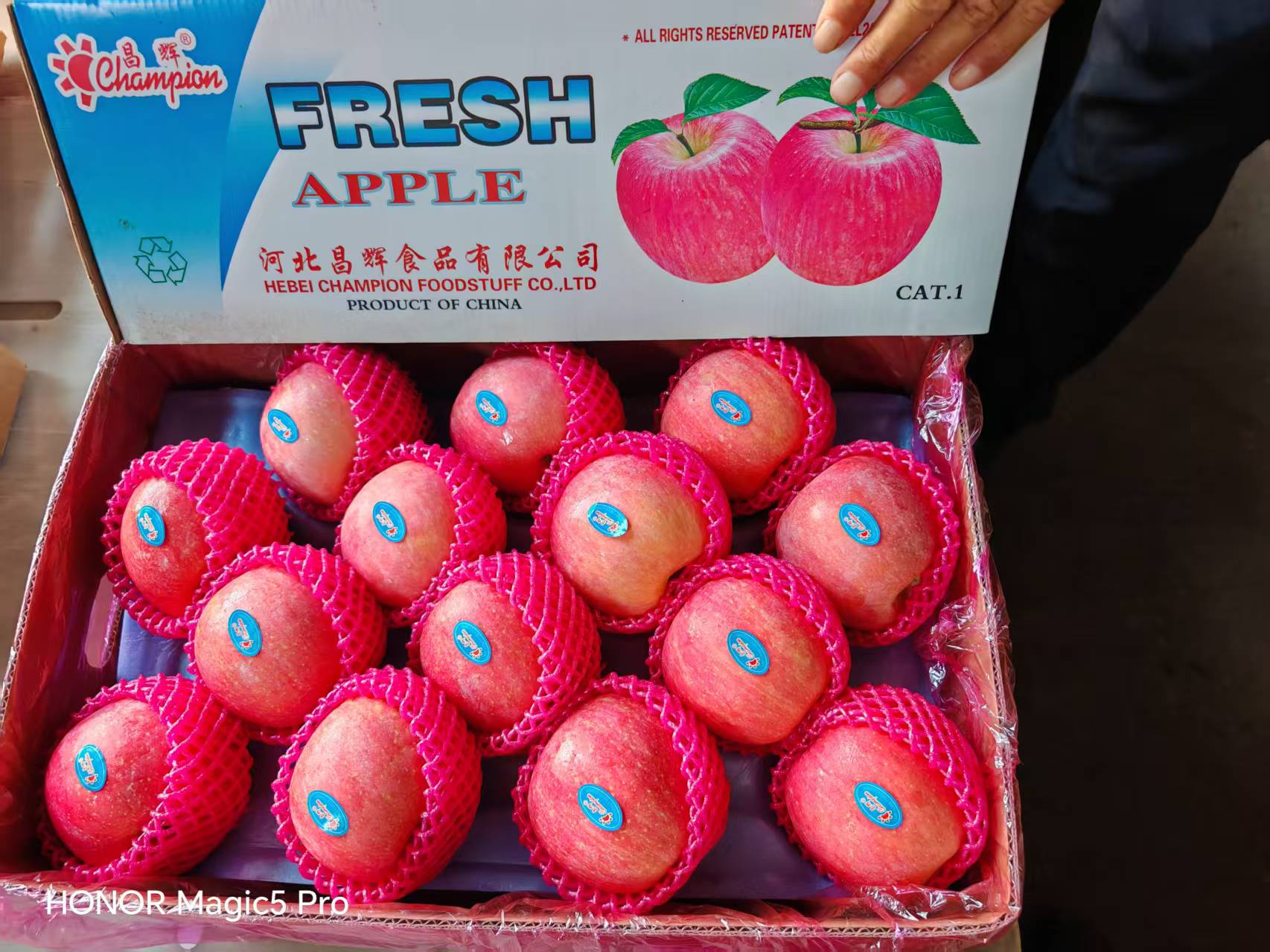 Fuji Apple 4